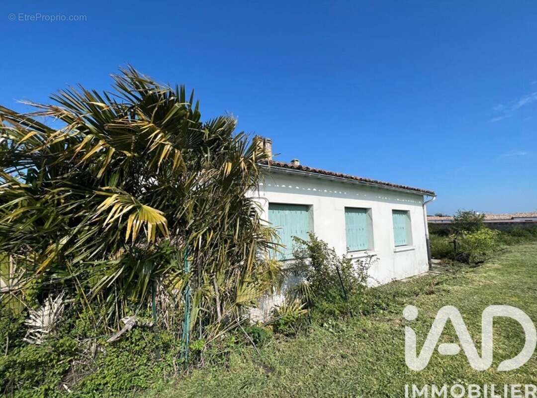 Photo 3 - Maison à SAINT-MARTIN-DE-RE