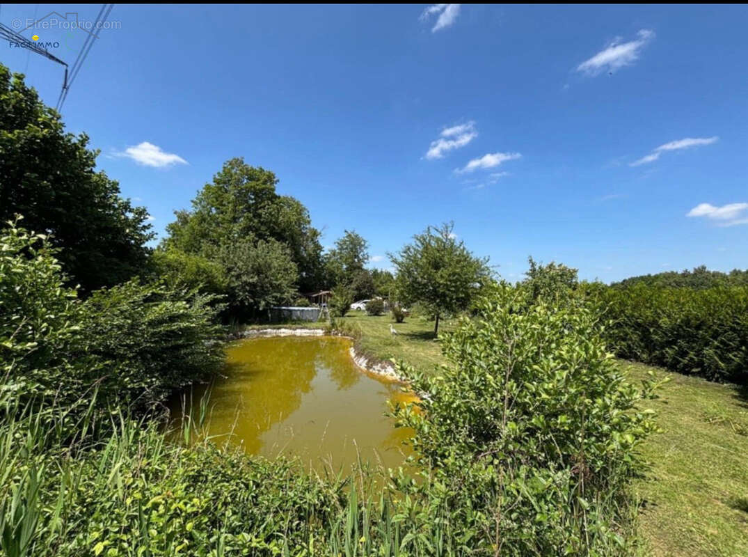 Terrain de loisirs avec chalet - photo 8