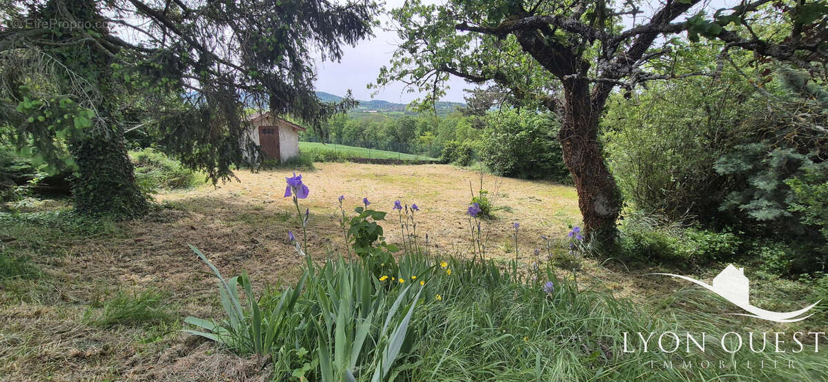Maison à LA TOUR-DE-SALVAGNY
