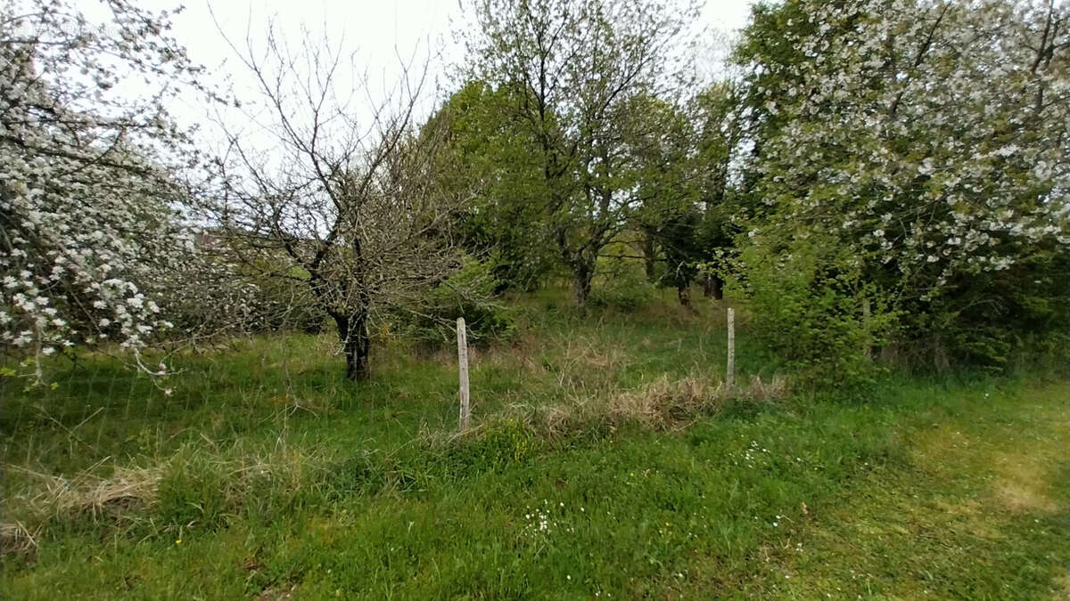 SOUS-OFFRE ! Maison de 2 chambres sur 8000m2 de terrain au calme et sans vis à vis dans le Périgord Vert. - photo 18