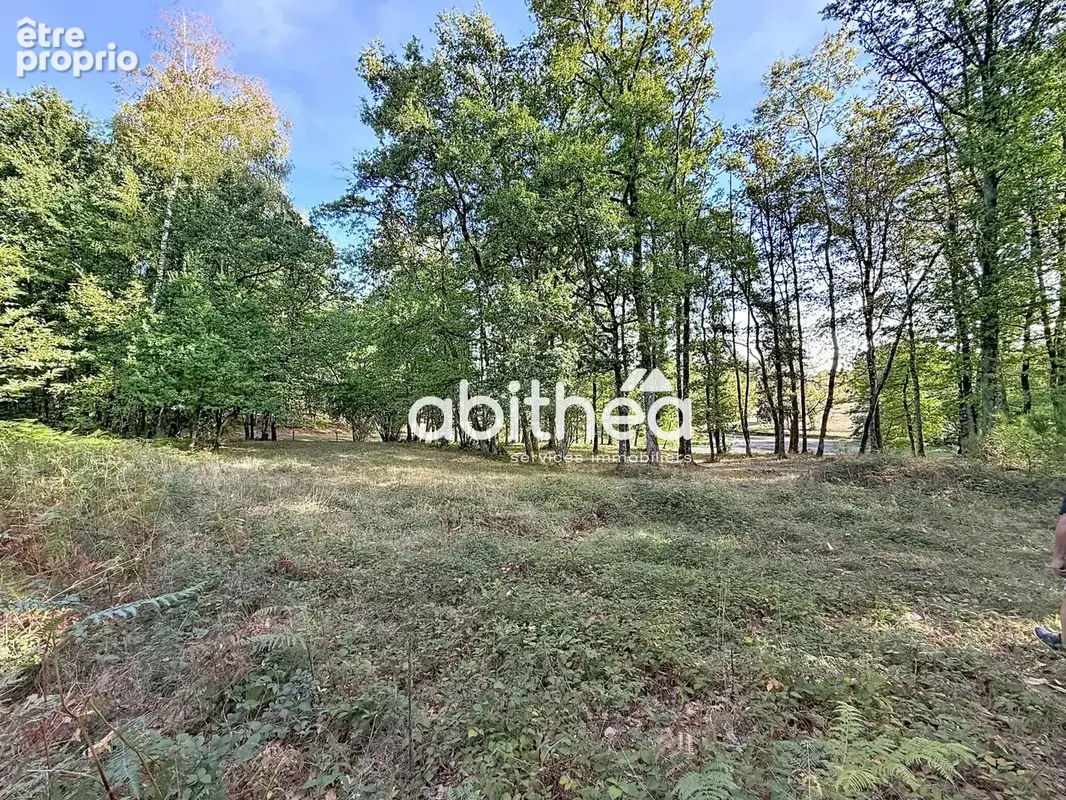 Propriété sur 6,5 ha, avec étang, prairies et bois. - photo 11