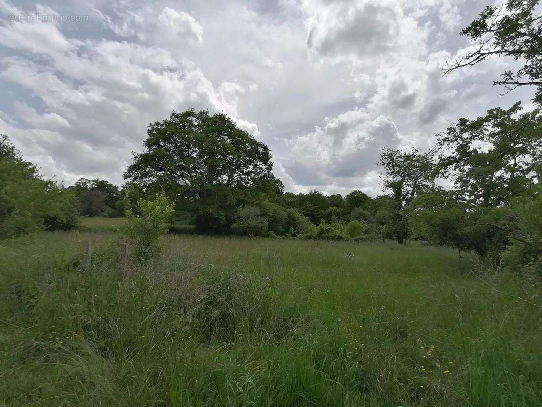Maison à SAINT-SULPICE-LES-FEUILLES