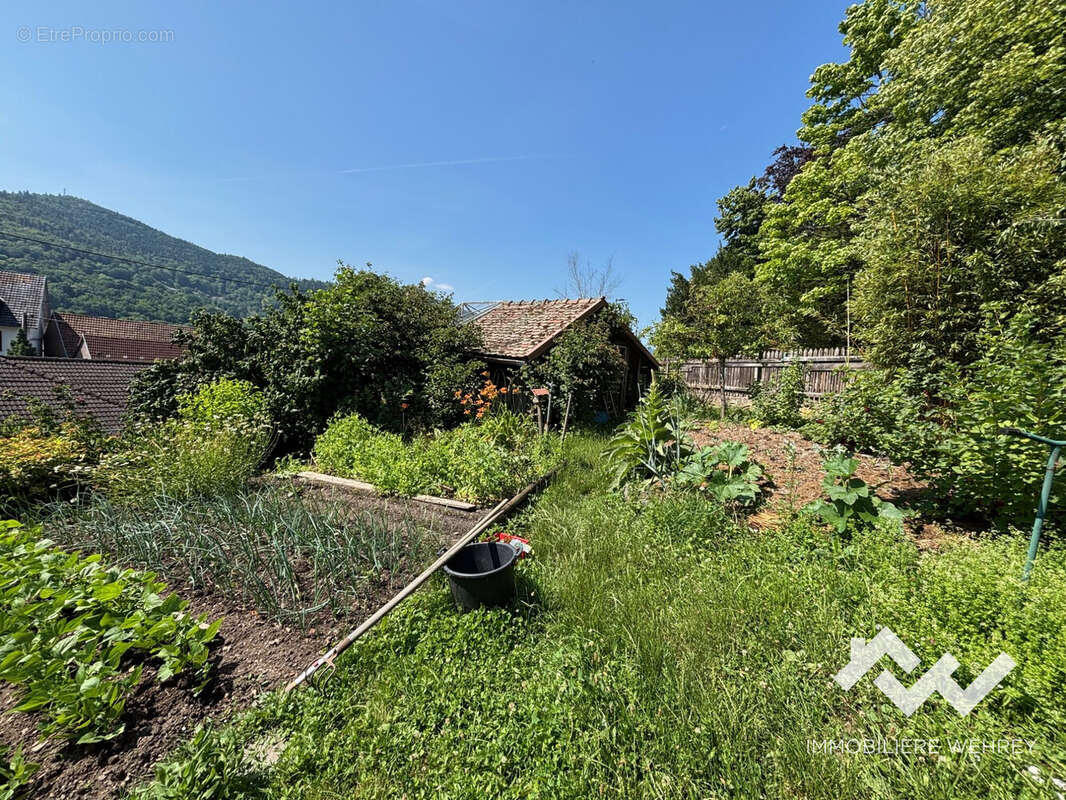 Appartement à MUNSTER