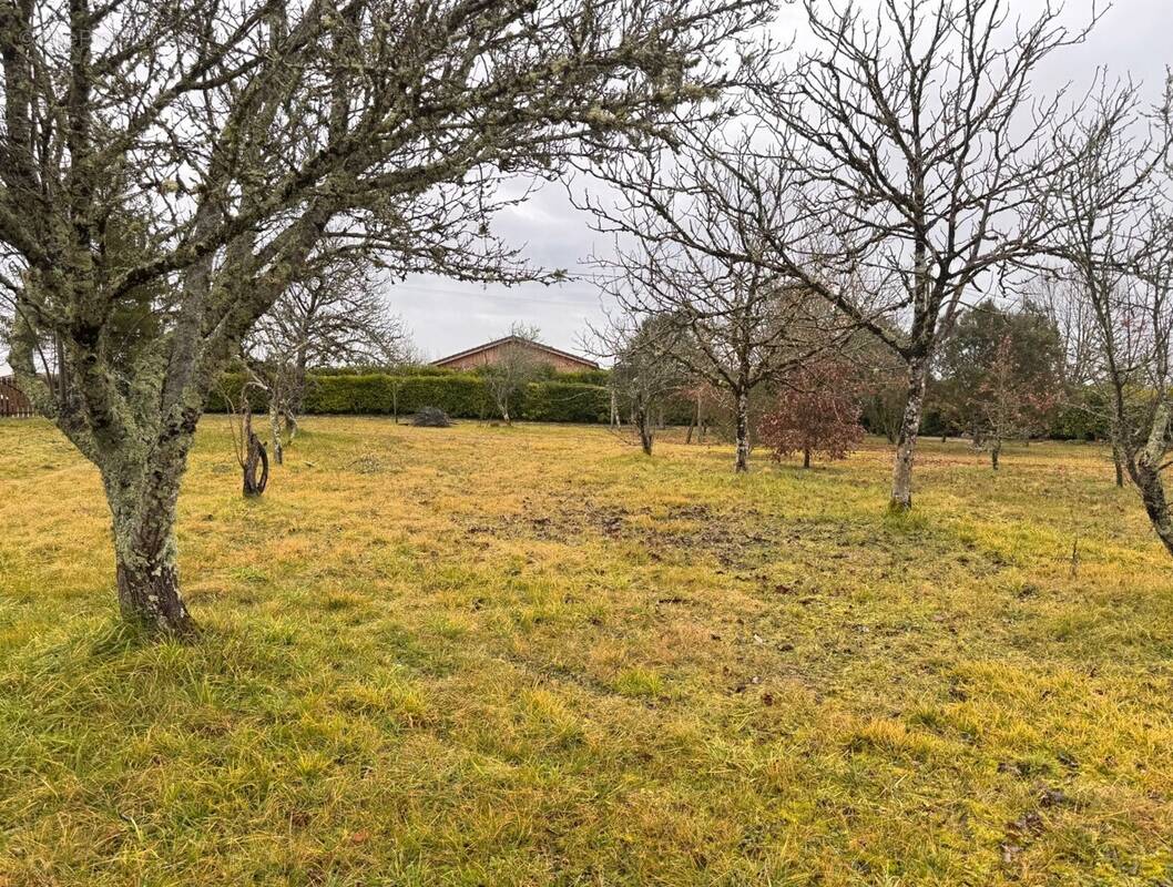 Terrain à MENSIGNAC