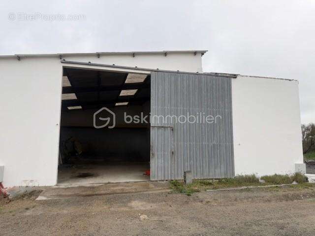 Parking à NOTRE-DAME-DE-MONTS