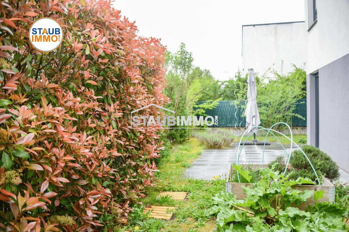Maison 96 m² à Saint-Louis  - photo 8