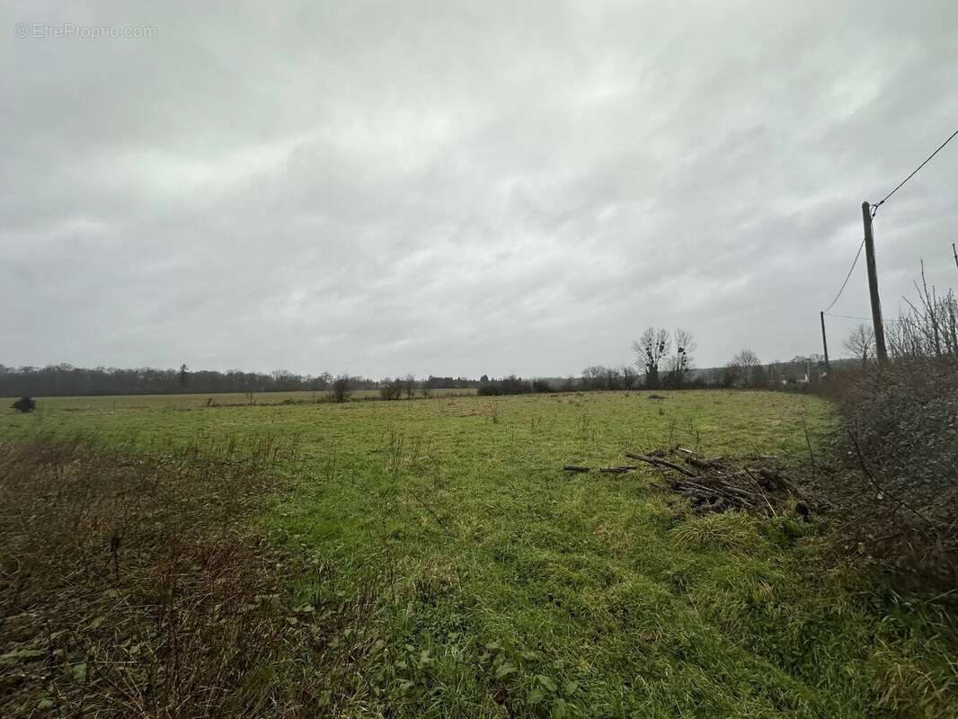 Terrain à SAINT-GEORGES-DU-VIEVRE