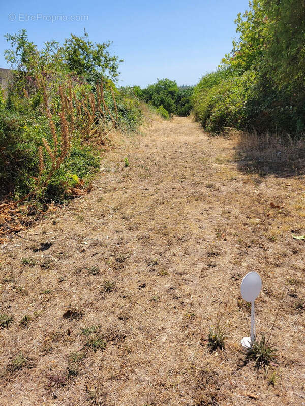 Terrain  800 m2 - photo 2