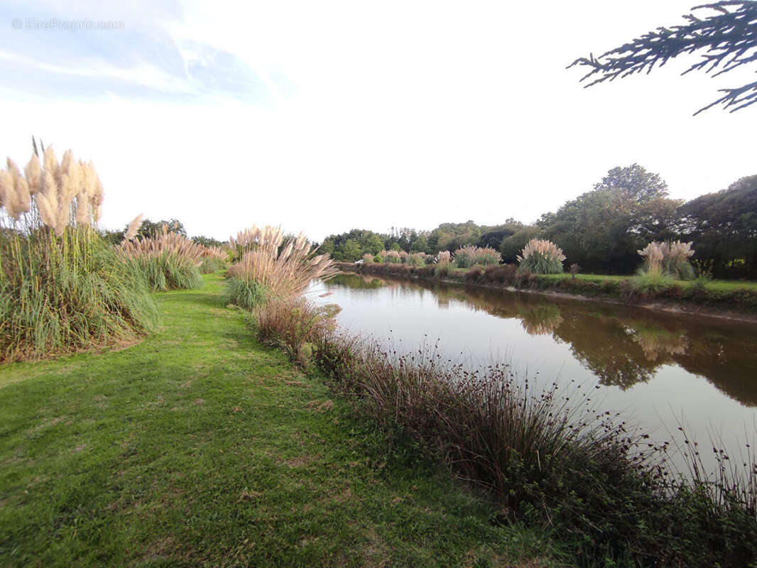 Terrain à SAINT-GEORGES-DE-POINTINDOUX
