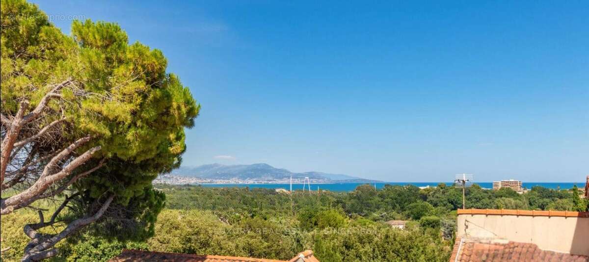 Villa 7 pièce(s) 295 m2, piscine, jardin, la Constance Antibes - photo 9