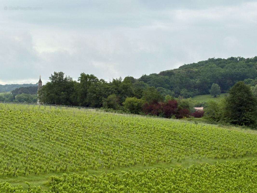 Domaine d'exception sur les coteaux de sainte croix du mont : un fort potentiel entre ciel et vignes - photo 7