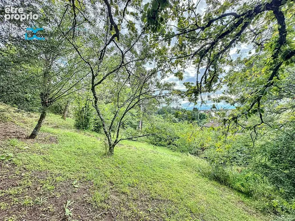 Terrain à vendre - thonon-les-bains (74200) - photo 7