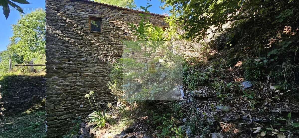 Maison à LE COLLET-DE-DEZE