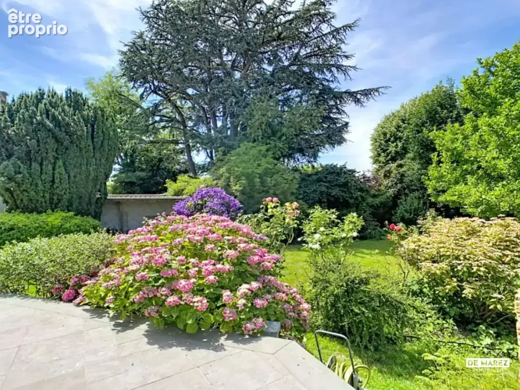 Exclusivite comines : maison bourgeoise individuelle - semi plain pied ! - photo 14