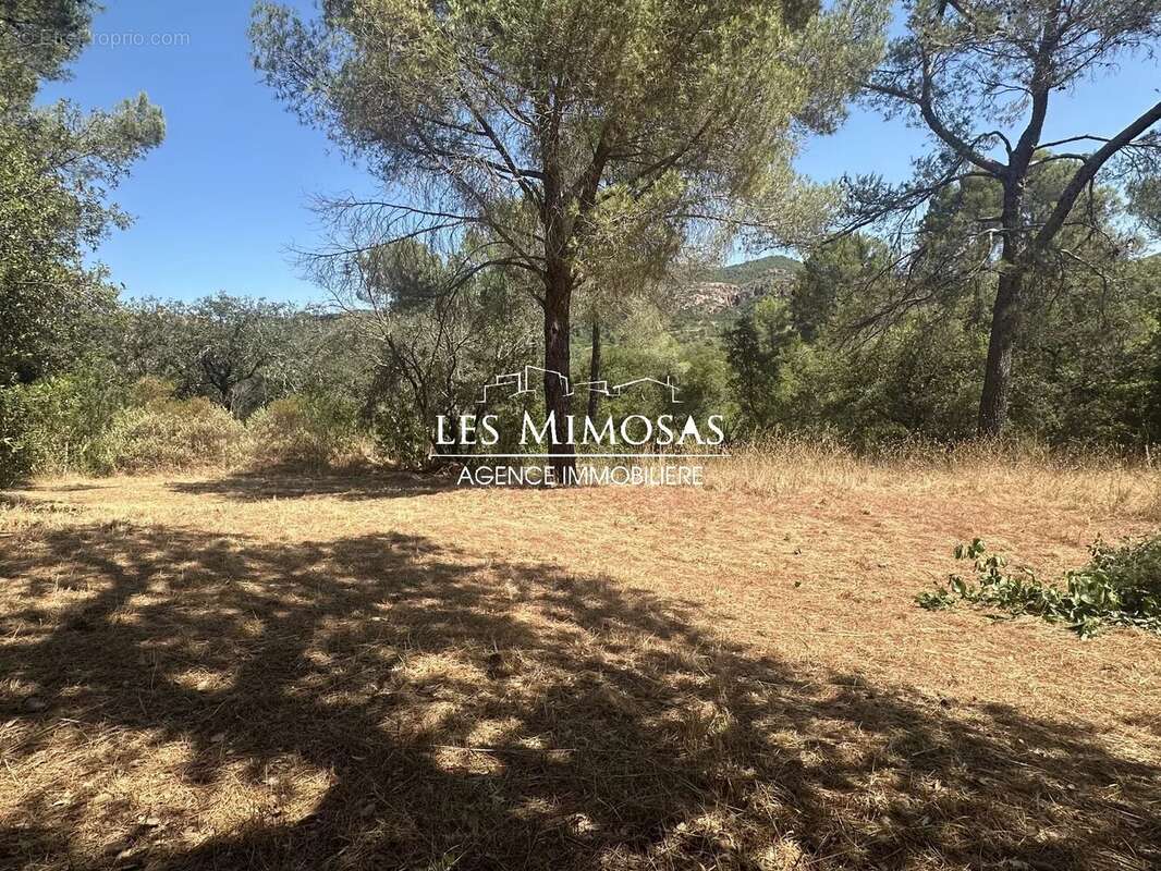 Maison à ROQUEBRUNE-SUR-ARGENS