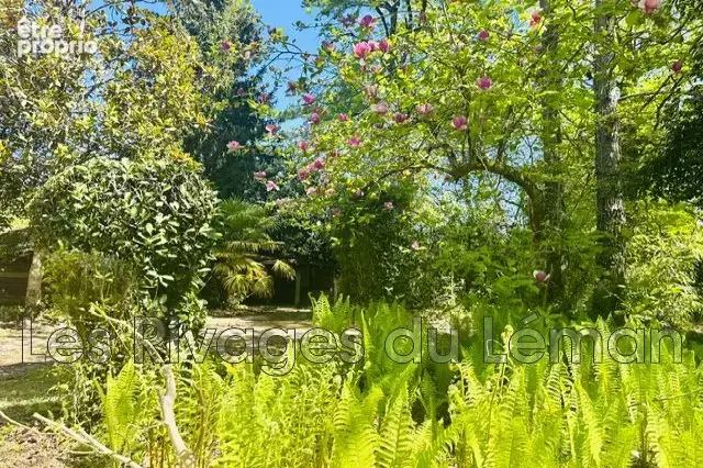 Terrain à SCIEZ