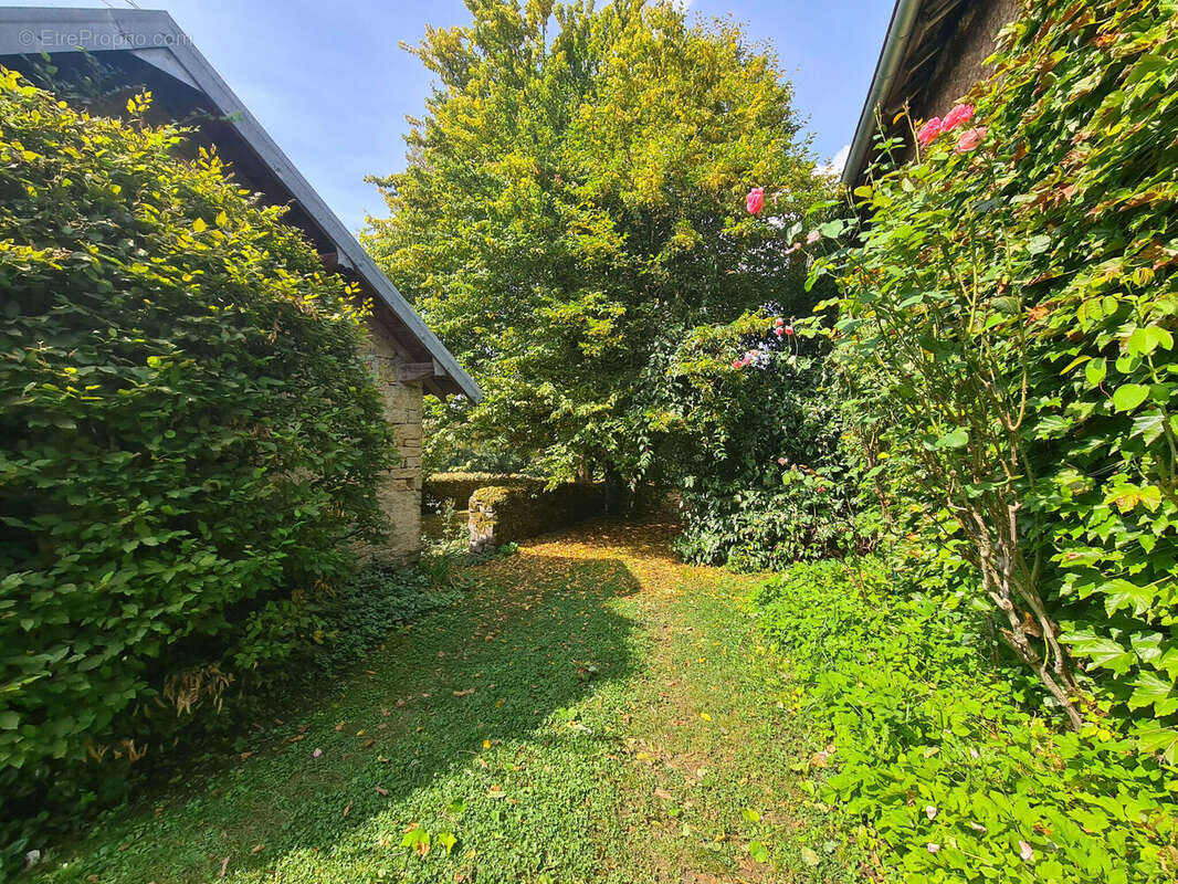 Photo 6 - Maison à ROUGEMONT