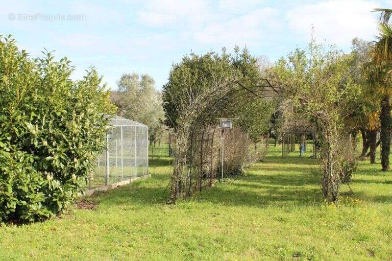 Photo 8 - Maison à LORIGNAC