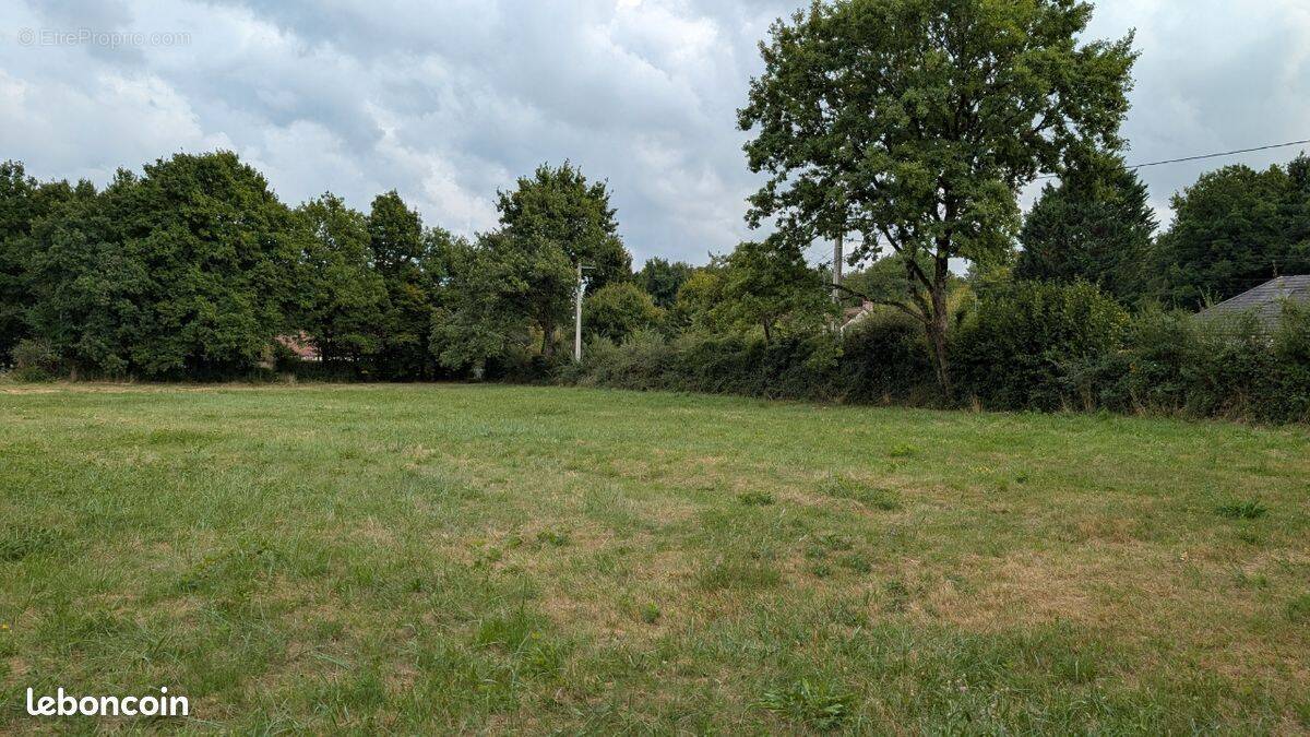 Terrain à VIGNOUX-SUR-BARANGEON