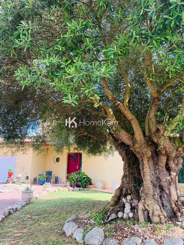 Maison à SAINT-ALBAN