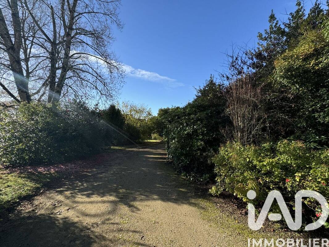 Photo 1 - Terrain à BONO