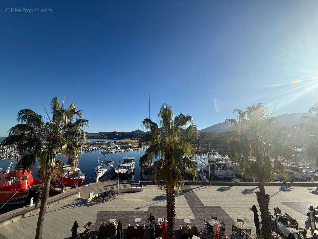 Photo 5 - Appartement à ARGELES-SUR-MER