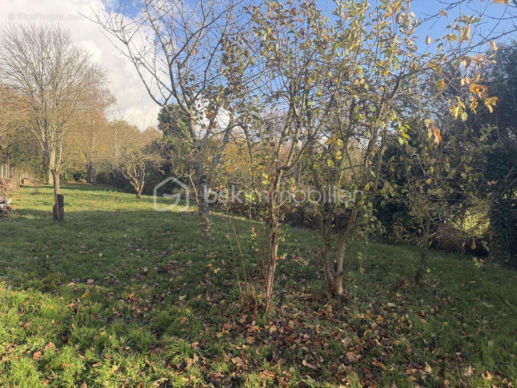 Maison à SOIGNOLLES-EN-BRIE