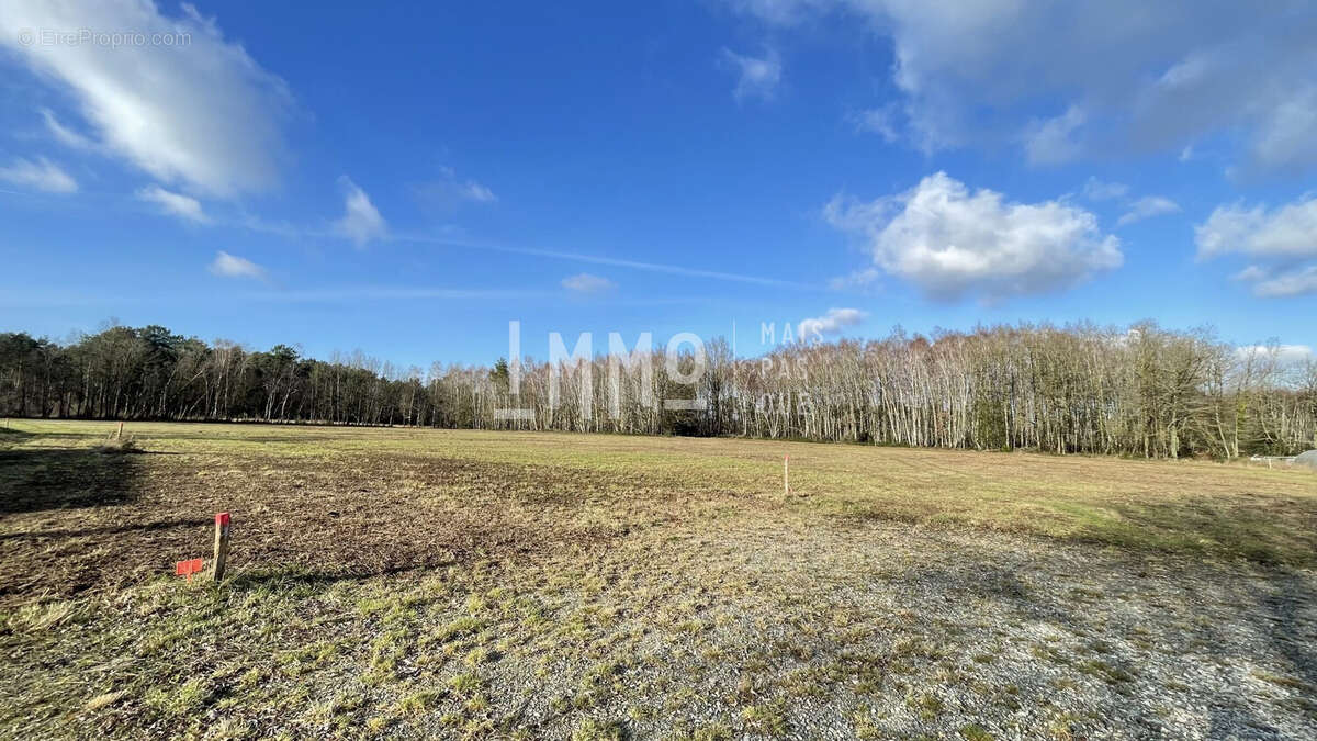 Terrain à LE GRAND-LUCE
