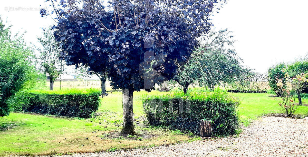 Maison à CHAMPLAY