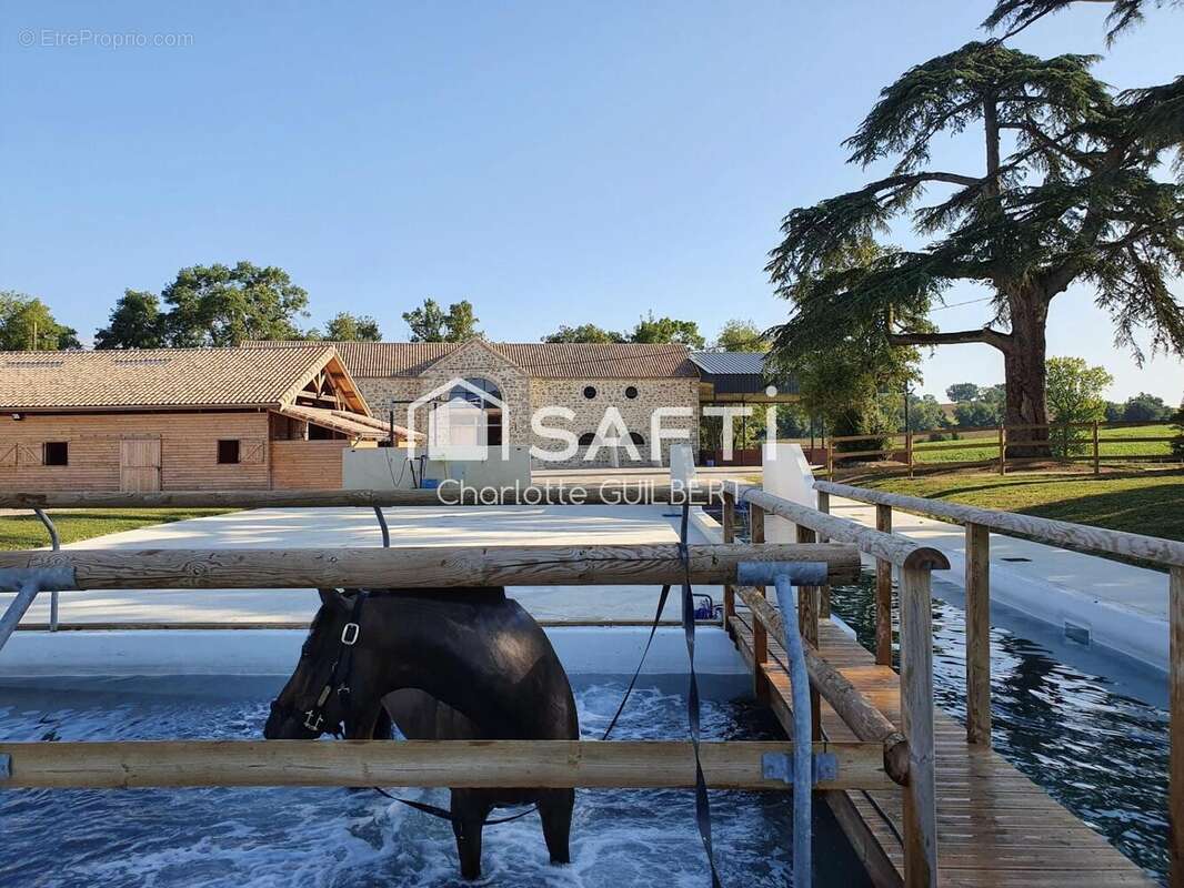 Photo 2 - Maison à NERAC