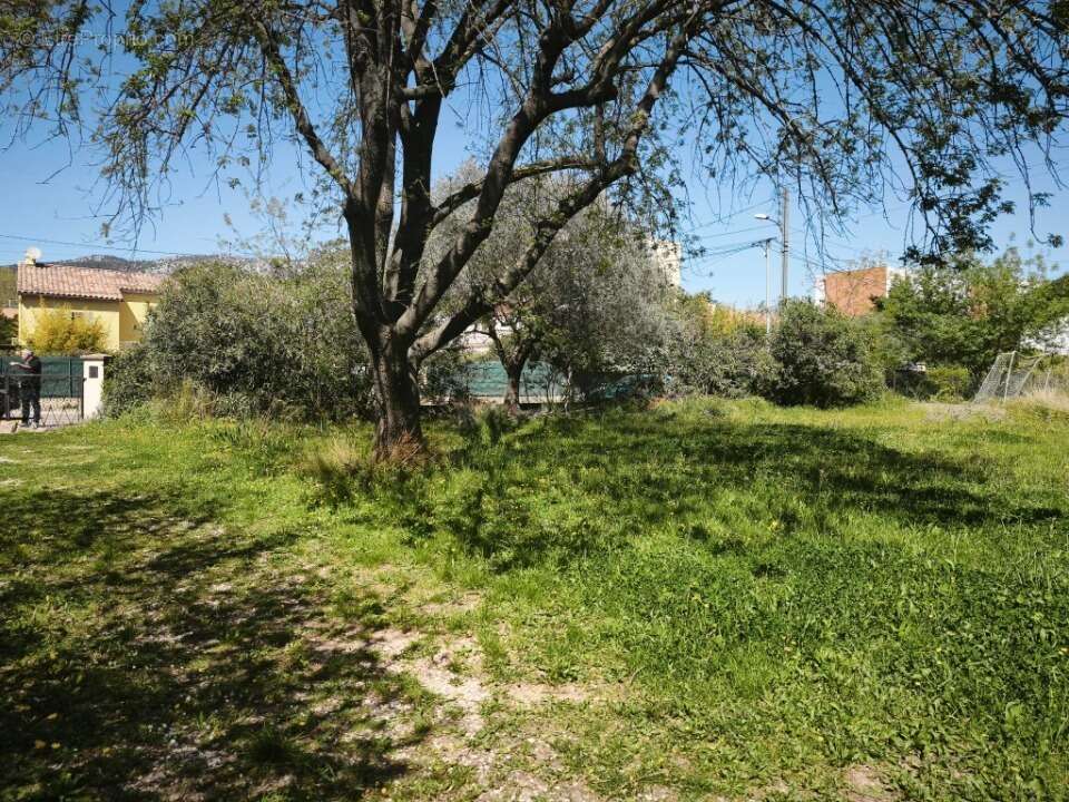 Terrain à LA VALETTE-DU-VAR