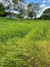Terrain à LE FOUILLOUX