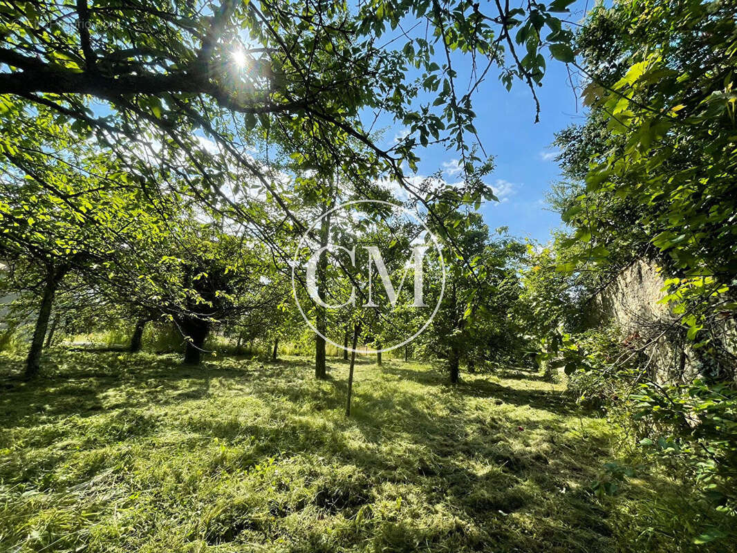 Gambais terrain - photo 4