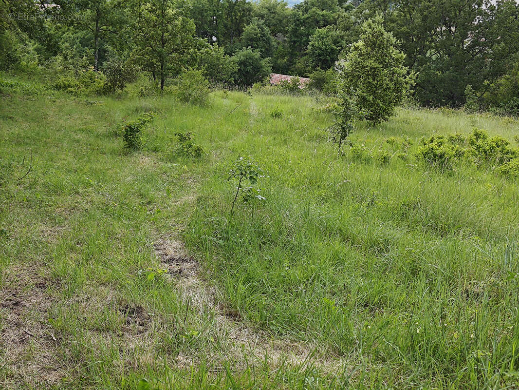 A vendre barjac terrain a batir - photo 5