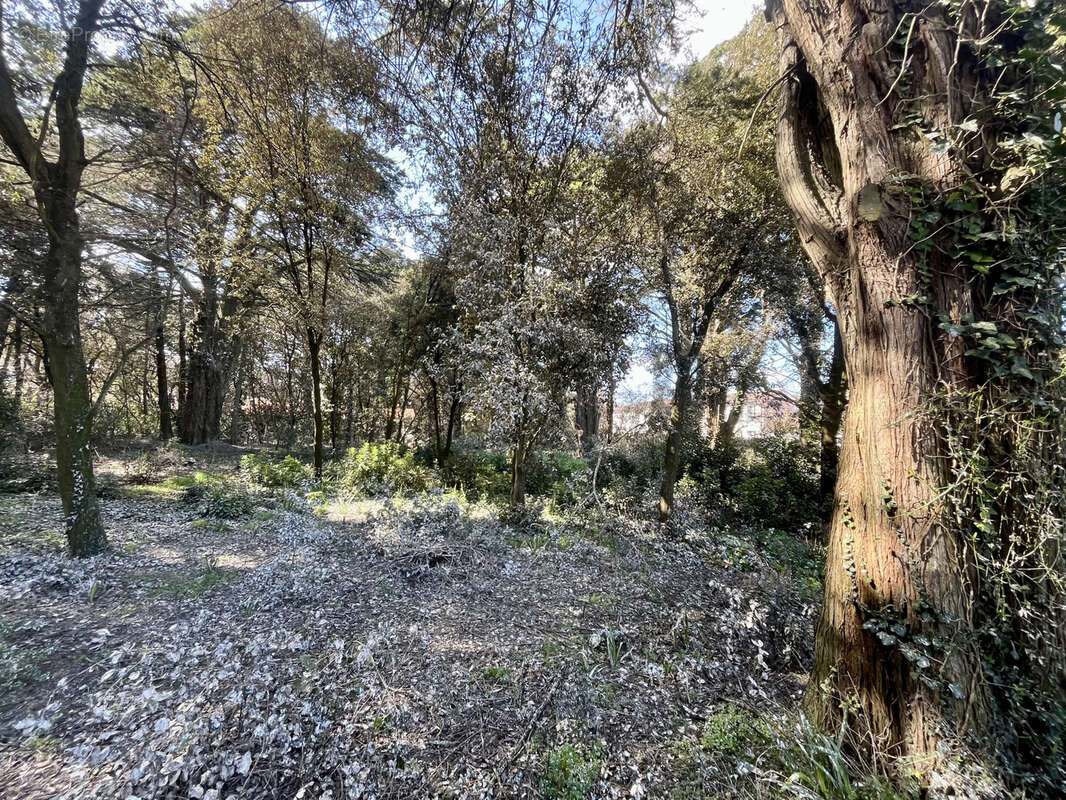 Terrain à L&#039;EPINE