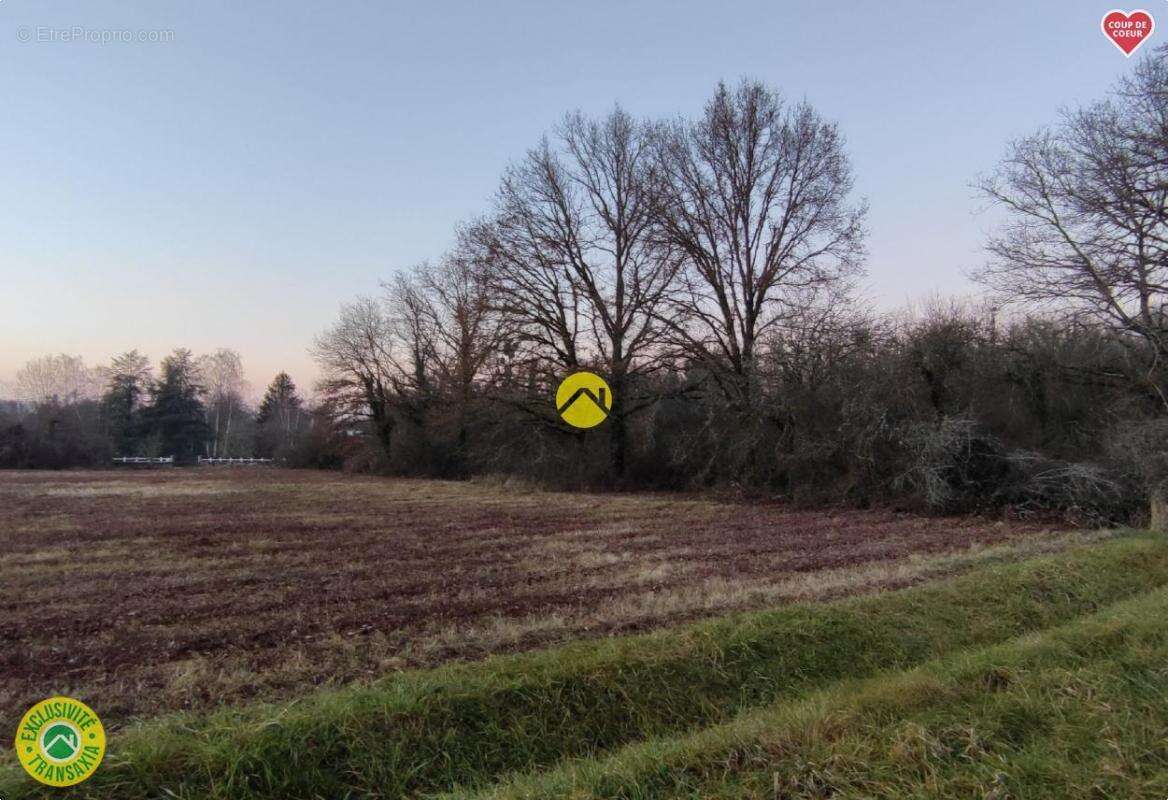 Terrain à LA GUERCHE-SUR-L&#039;AUBOIS