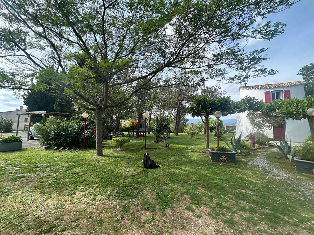 Maison à MARSEILLETTE