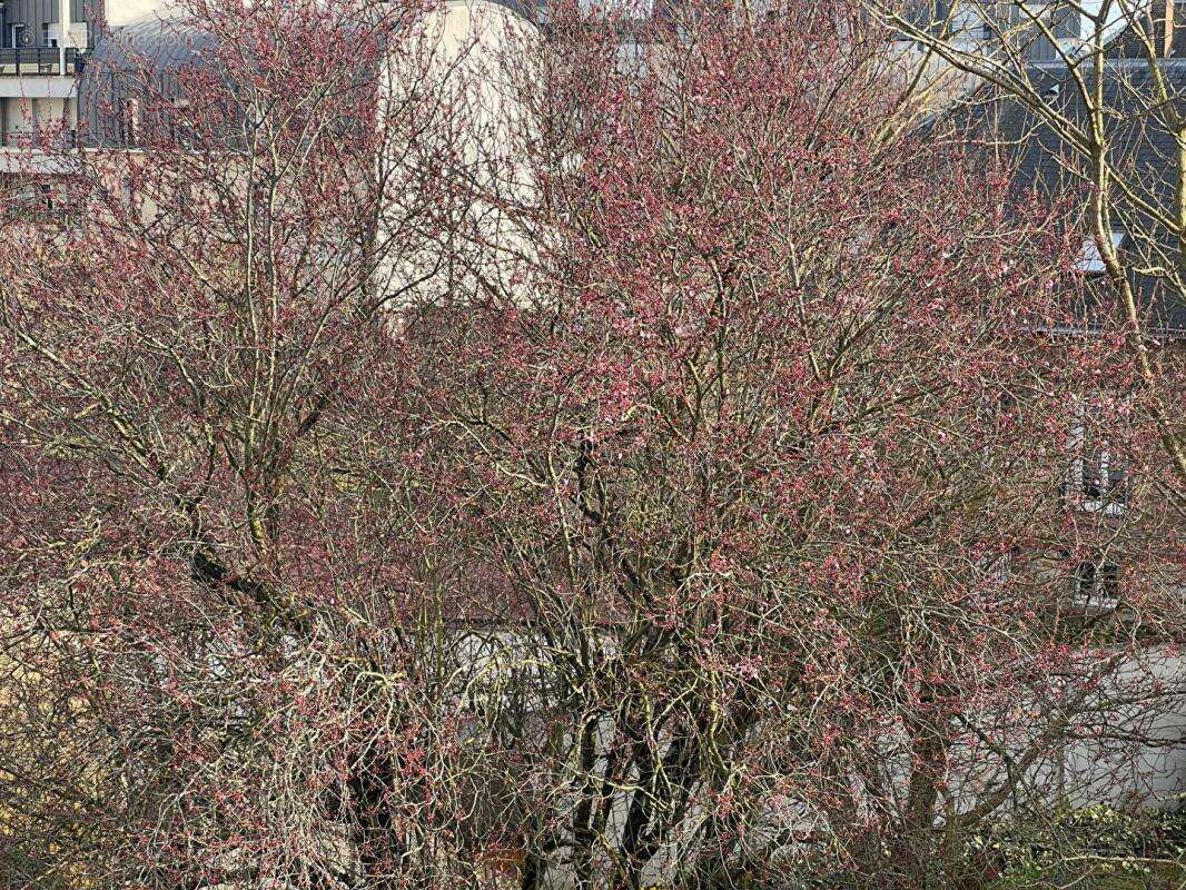 Appartement à BRETIGNY-SUR-ORGE