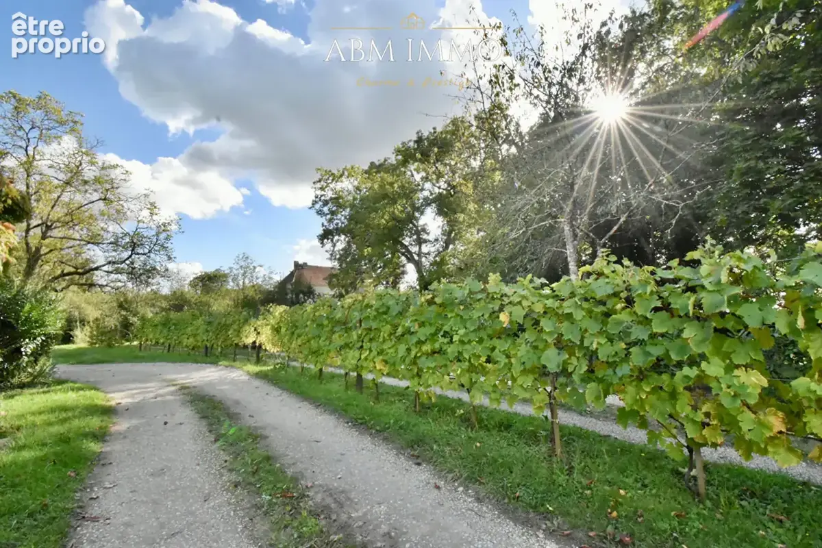 Domaine viticole - appellation prestigieuse - photo 4