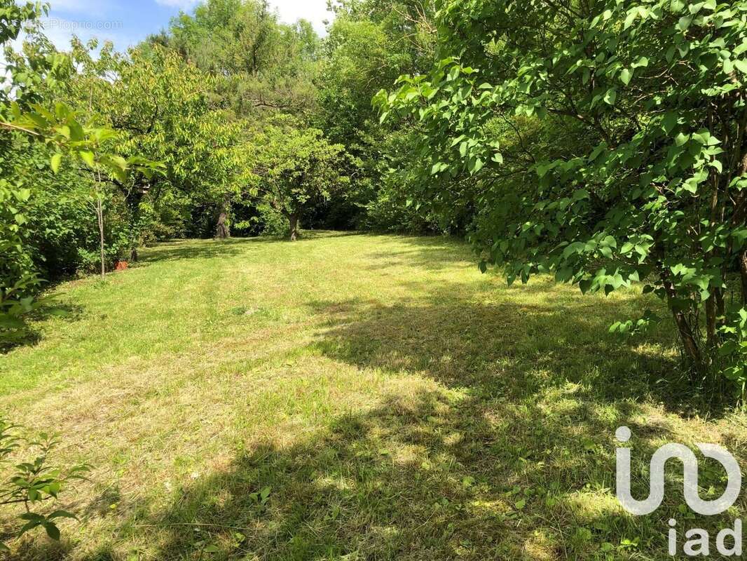 Photo 3 - Maison à MORET-SUR-LOING