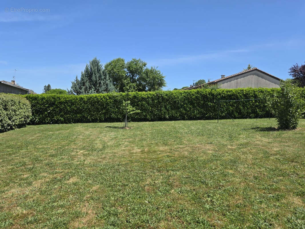 Spécial investisseurs ! - photo 15