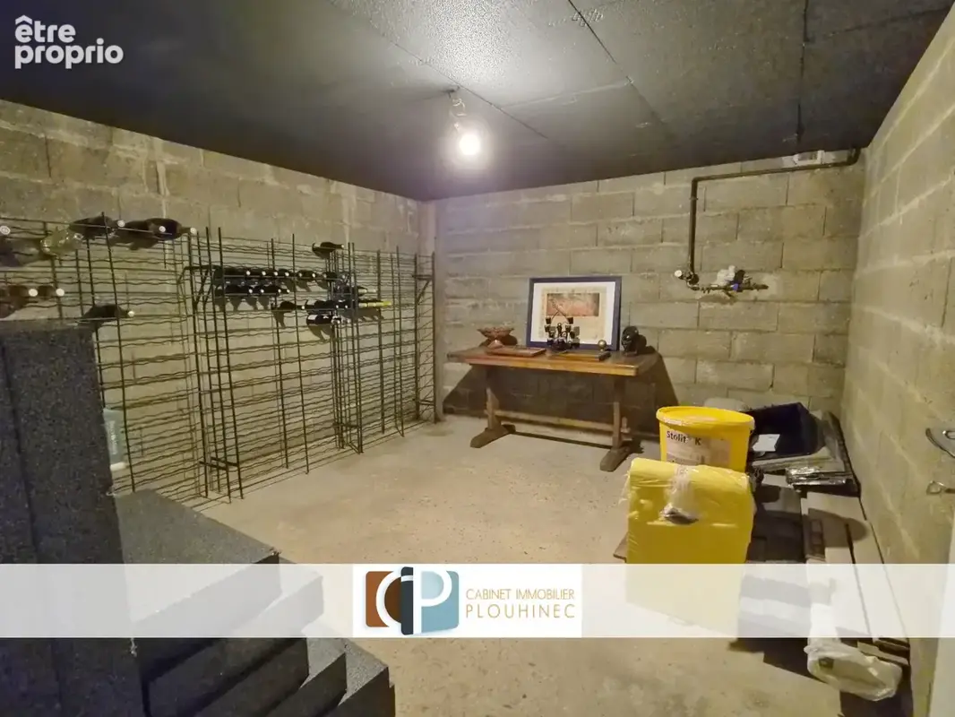 Maison rénovée avec grand terrain piscinable à 5 min de Mâcon - photo 16