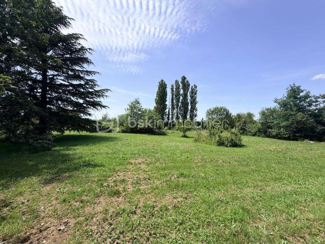 Maison sur sous sol à rénover sur un terrain de 5 761m² - photo 6