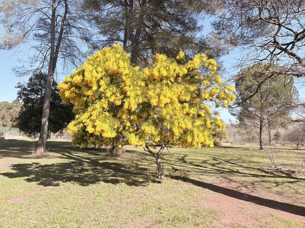 Parcelle agricole attenan - Maison à LA MOTTE