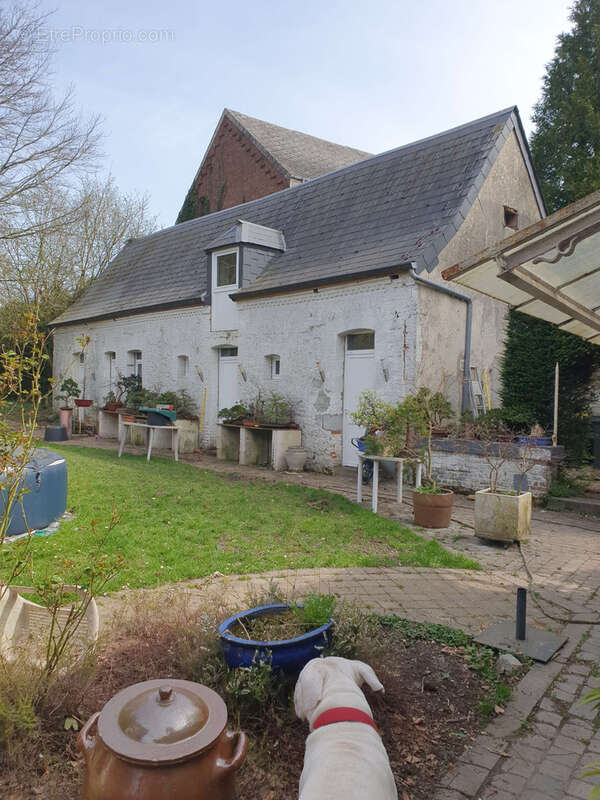 Maison à AULNOYE-AYMERIES