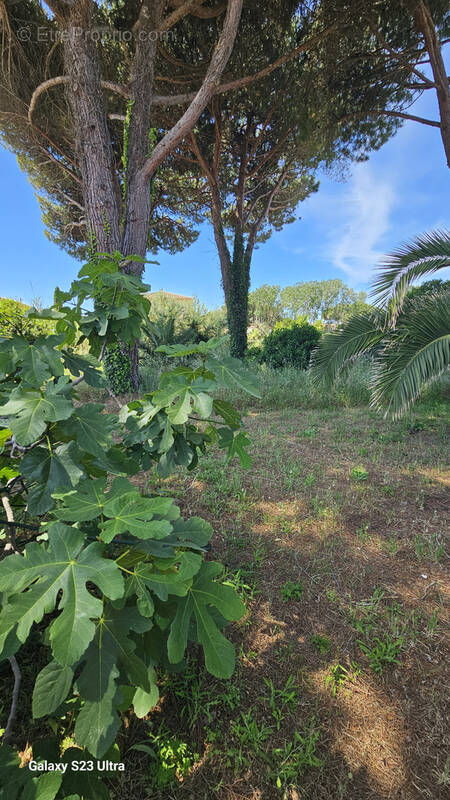 Terrain à AGDE