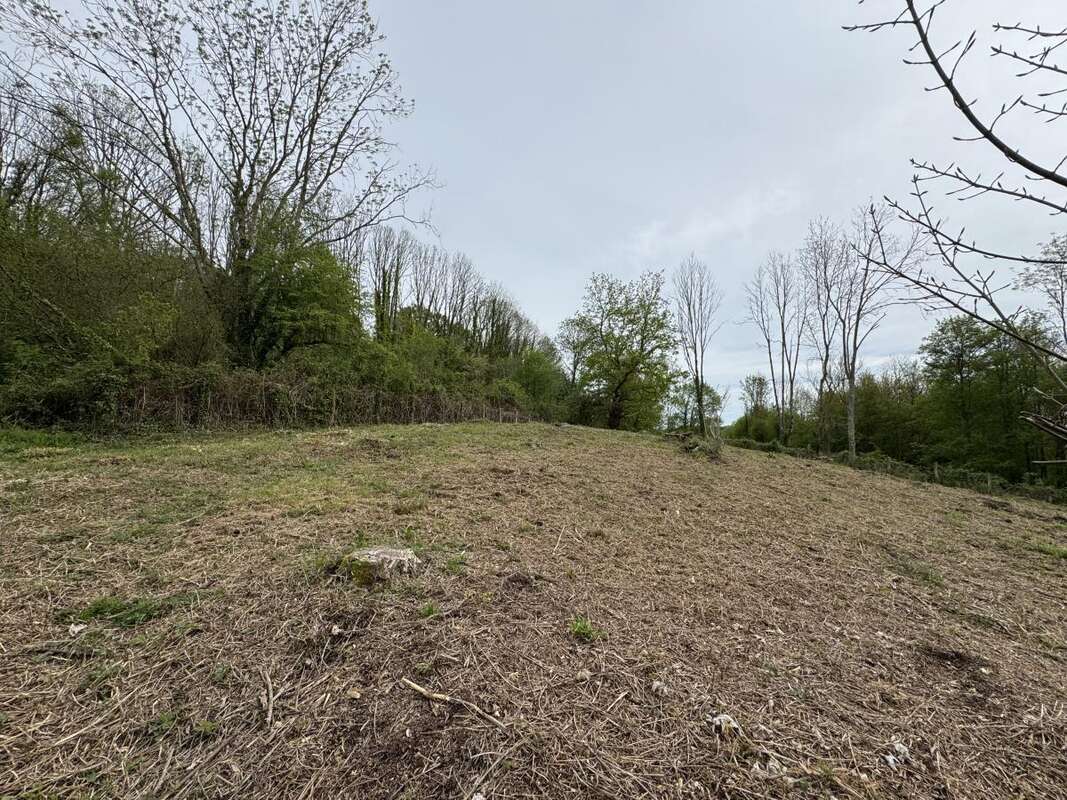 Terrain 1673 m² à Le Mesnil-Simon  - photo 4