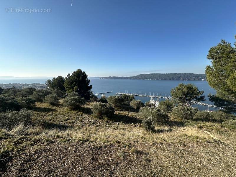Terrain à SAINT-CHAMAS