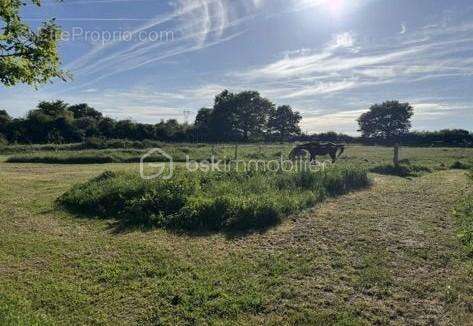 Demeure de 176 m² - photo 12