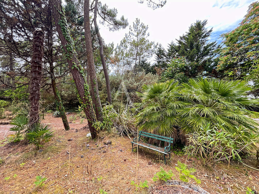 En forêt, Maison familiale, Saint Jean De Monts - photo 18